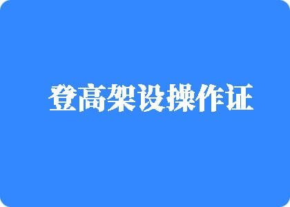 黄色视频在线免费啊啊啊～操我～好爽～登高架设操作证