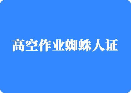 看操小嫩逼的高空作业蜘蛛人证